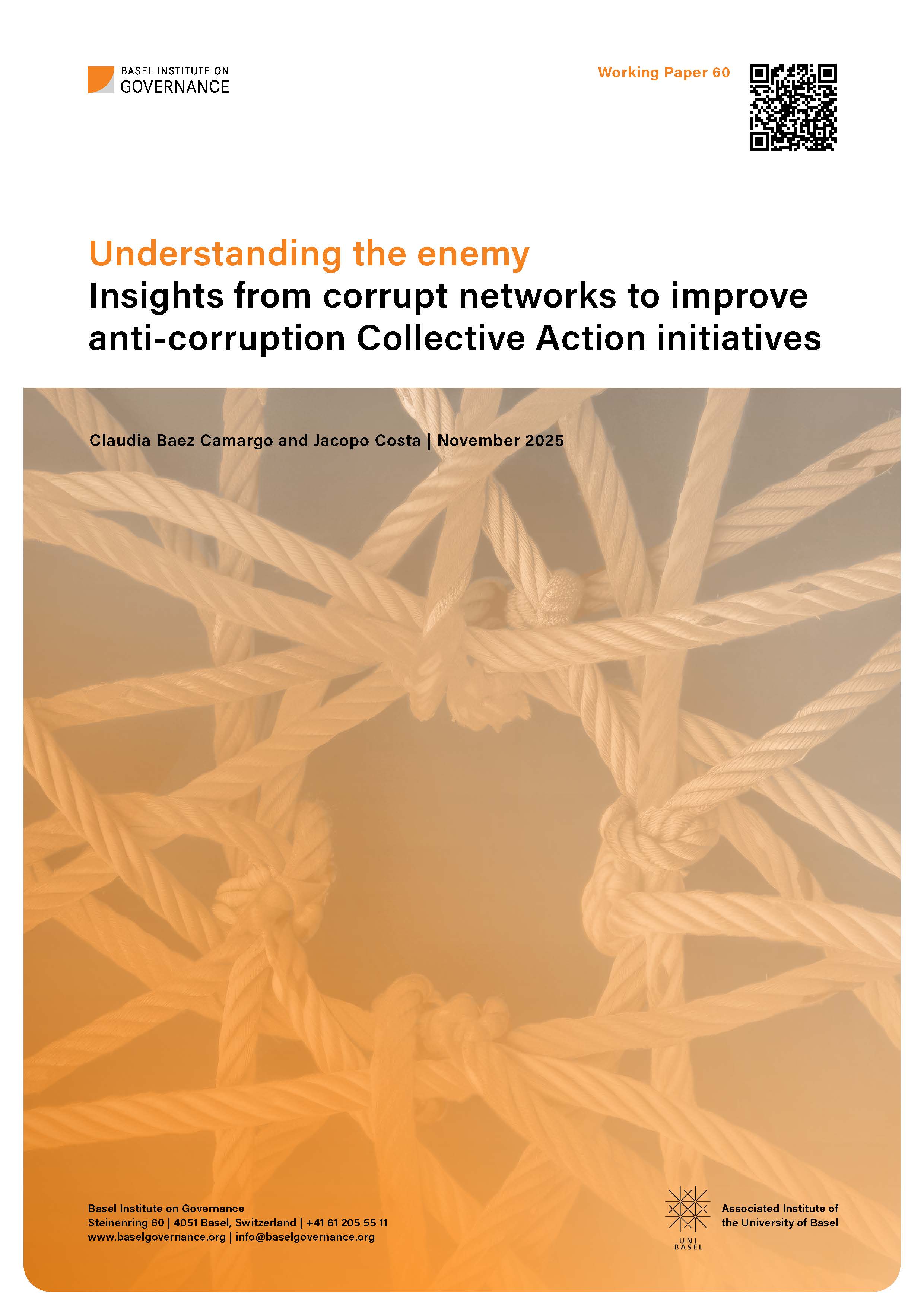 Cover page of Working Paper 60 showing a network made of ropes