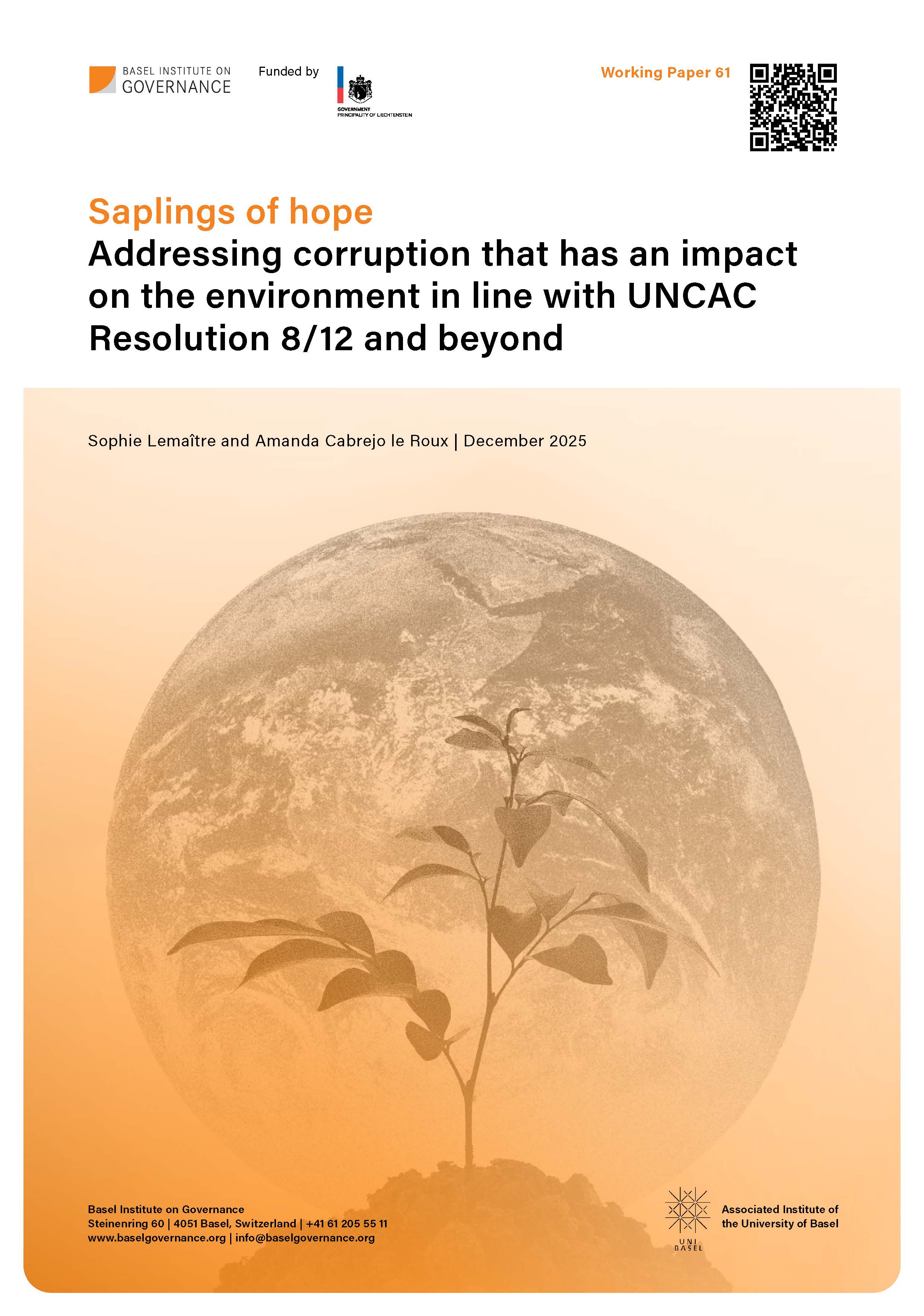 Cover page of Working Paper 61 showing a sapling and in the background planet Earth